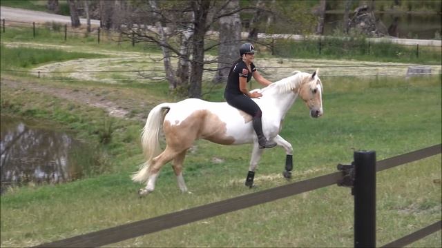 Trail Riding training with no gear. Goldrush & Alycia Burton смотреть онлайн