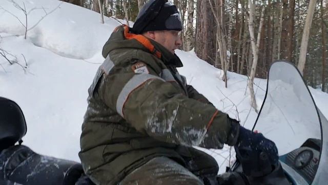 Буран и Тайга и Лидер. смотреть онлайн