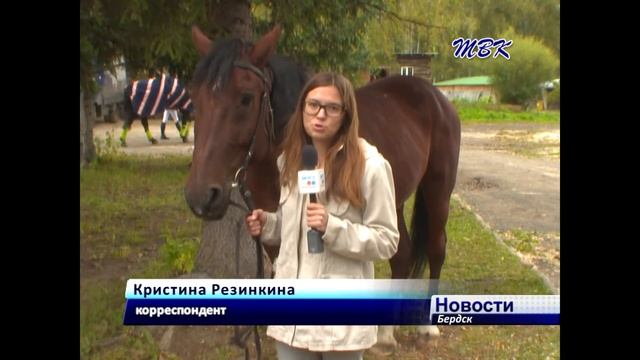 Кубок Клубов Новосибирской области по конному спорту прошел в Бердске смотреть онлайн