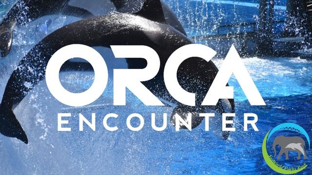 One Song - Orca Encounter Soundtrack SeaWorld смотреть онлайн