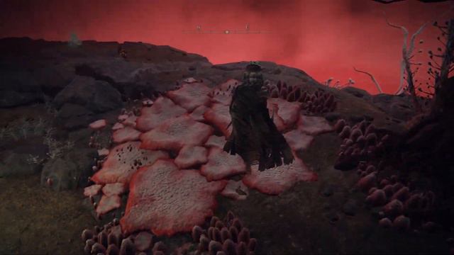 Too Many Random Bosses in My Elden Ring смотреть онлайн
