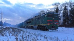 "Первый грузовой в Новом году"! 2ТЭ116-1136 с вывозным поездом и приветливой бригадой