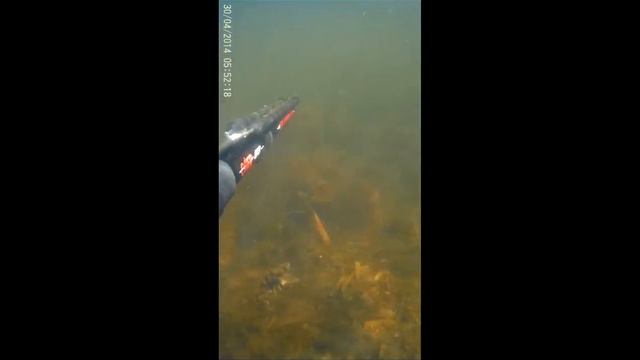 подводная охота 30апреля 2014 Челябинск смотреть онлайн