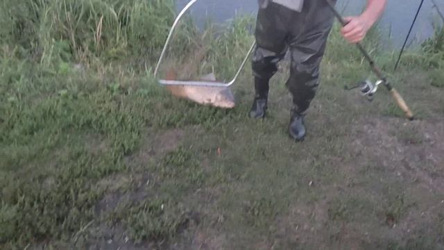 База отдыха "У Михалыча". Ловля карпа. смотреть онлайн