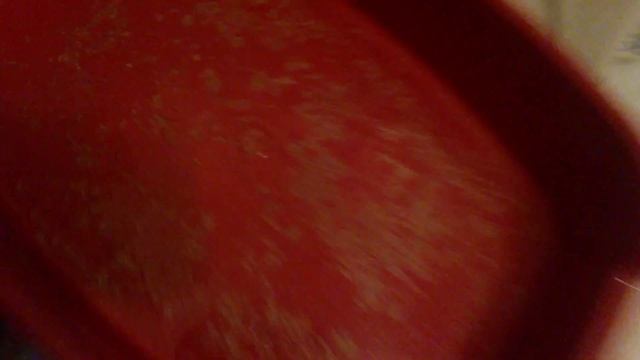 Как мыть туалет котенку! смотреть онлайн