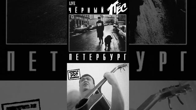Чёрный пёс Петербург. ДДТ. Отрывок на гитаре. смотреть онлайн