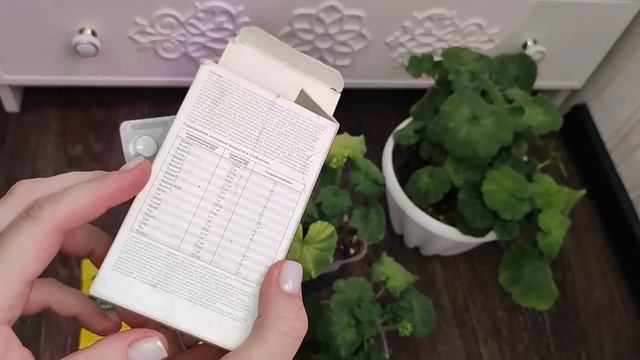 1 Таблетка под ГЕРАНЬ, чтобы листики не желтели и даже дохлый цветок оживет и позеленеет смотреть онлайн