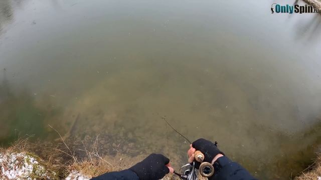 Ловля ФОРЕЛИ на спиннинг. Безлимит на СТОЛБОВОЙ. Рыбалка с #OnlySpin смотреть онлайн