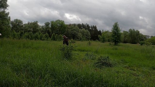 По дороге под облаками. Косим траву. On the road under the clouds. Mow the grass. смотреть онлайн