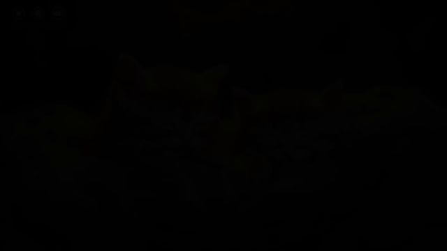 Rapid Tranquility Symphony: Unwind in 5 Minutes with Stress-Relieving Piano Magic 🌙🎹 смотреть онлайн