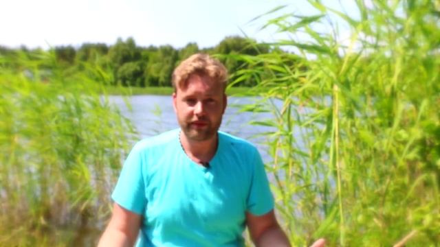 Замужество и взаимоотношения. смотреть онлайн