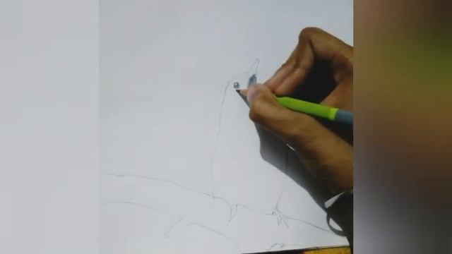 how to make bird sketch drawing смотреть онлайн