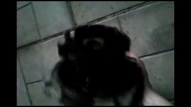 ремонт помпы на классике!!! смотреть онлайн