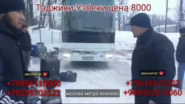 РУССКИЙ ЖЁСТКО О ТАДЖИКАХ НАЦИИ смотреть онлайн