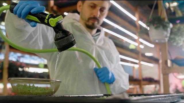 Когда сажать горох в 2022 году, для лучшего урожая смотреть онлайн