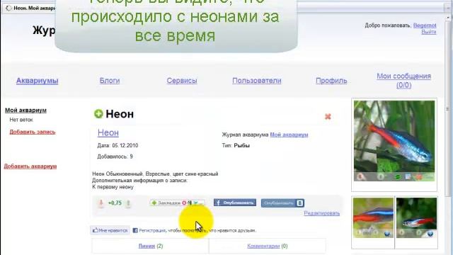 Быстрый старт на сайте «Журнал аквариума» смотреть онлайн
