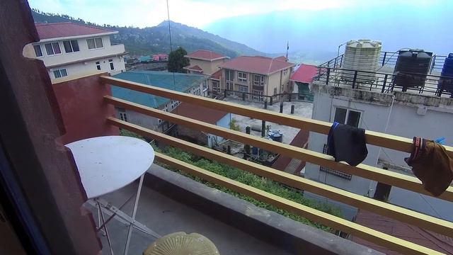 Индия | Обезьяны | Западная Бенгалия