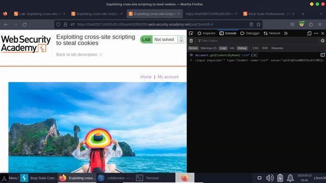 Exploiting Cross-site Scripting to Steal Cookies Without Collaborator смотреть онлайн
