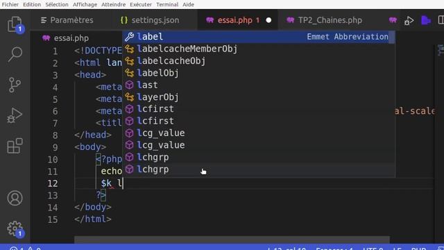 php vidéo 2: variables / echo / concatenation смотреть онлайн