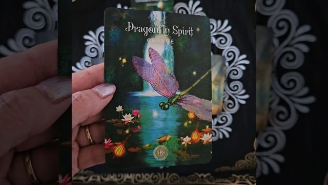 Day 6. FREE 6 Day Soul Journey. Sacred Forest Oracle. Nature Spirits, Magic, Meditation, Refuge смотреть онлайн