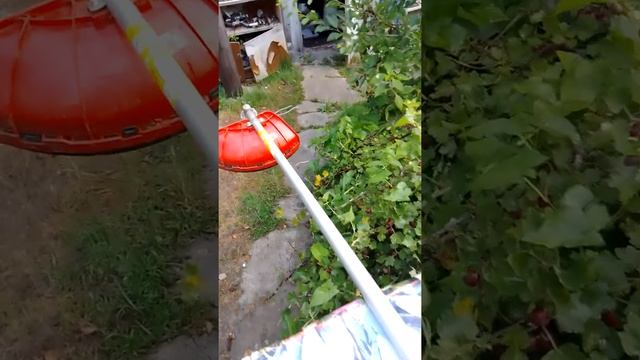 Бензиновый триммер (ПИТ) P.I.T. смотреть онлайн