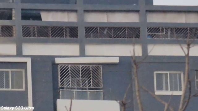 Honor Magic 6 Pro VS Galaxy S23 Ultra Live Zoom Test Comparison