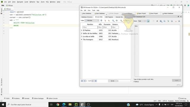 Sentencia DELETE de SQLite en Python. Curso SQL en Python desde CERO смотреть онлайн