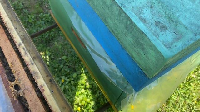 Можем начинать выводить маток, трутня уже вагон)) смотреть онлайн
