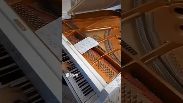 05 Черный пианист и Белый рояль Black pianist & white piano смотреть онлайн