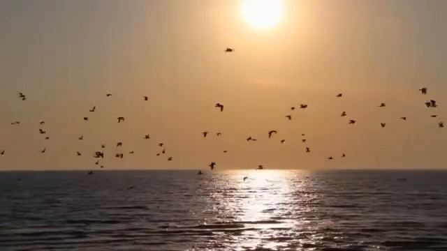 Любовь и боль. Ваграм Вазян смотреть онлайн