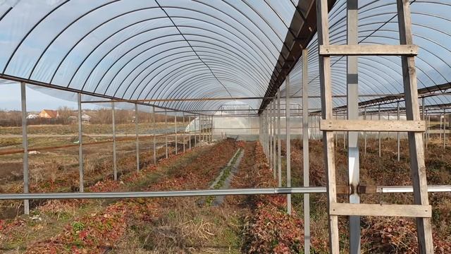 Теплица которую построят многие после просмотра видео. Продолжение... смотреть онлайн