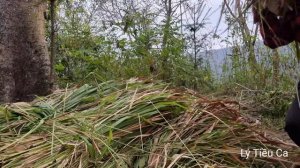 43 The day a 19-year-old single mother and her poor child began to build a new life - Lý Tiều Ca