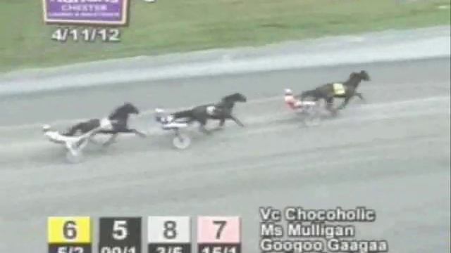 Googoo Gaagaa 1st start as a 3 yr Chester Race 9_ 04.11.12.wmv смотреть онлайн