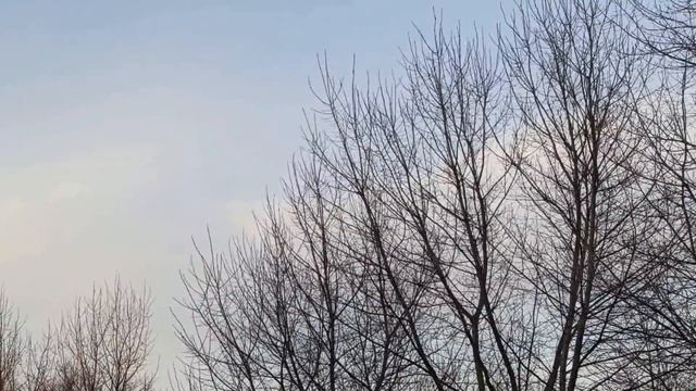 12 марта народный праздник ВАСИЛИЙ КАПЕЛЬНИК . ДЕНЬ ВАСИЛИЯ . народные приметы и традиции смотреть онлайн