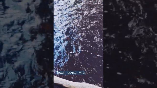 Тихая речка Мга, стихотворение смотреть онлайн