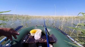 Ловля карася  С лодки на поплавочную удочку
