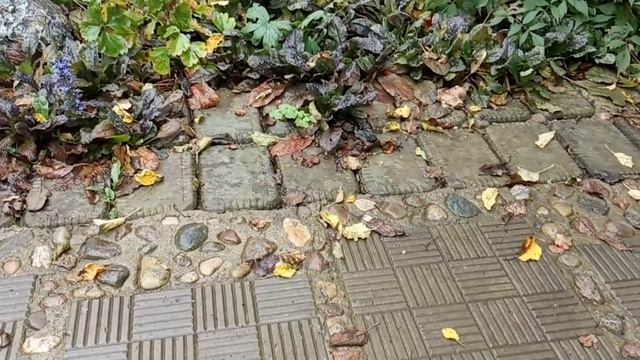 КАК Я ДЕЛАЛА ТРОТУАРНУЮ ПЛИТКУ смотреть онлайн