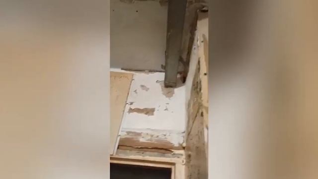 Полчища тараканов, канализационная вонь и блохи: УК запустила подъезд в Волжском смотреть онлайн