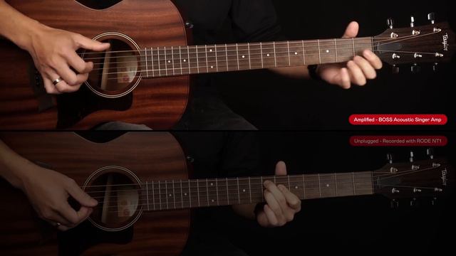 The Perfect Fingerpicking Guitar - Taylor AD22e Unboxing & Guitar Review