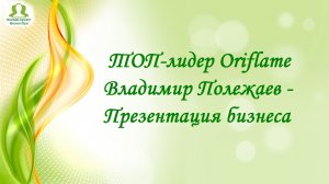 Владимир Полежаев - Презентация бизнеса