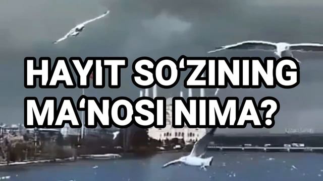 ISLOMIY SAVOL JAVOB ISLOMIY  TEST VA VARIANTLAR  YUSUF ALAYHISSALOM#savoljavob