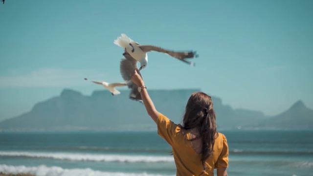 Чайки смотреть онлайн