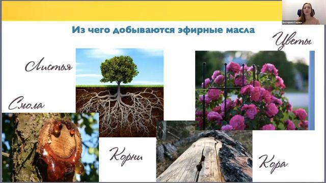 Арома-практикум 23-29.01.23 Вводный эфир смотреть онлайн