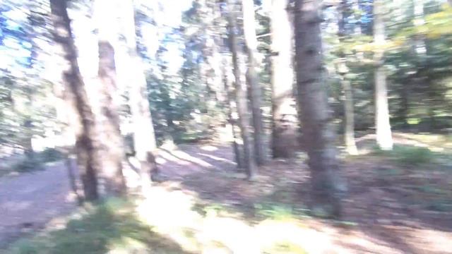 ДОЛИНА ЛЮБВИ,1 км от МОНАСТЫРЯ ОПТИНА ПУСТЫНЬ. смотреть онлайн