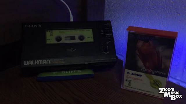 P. Lion - Springtime (FULL ALBUM - Cassette Rip)