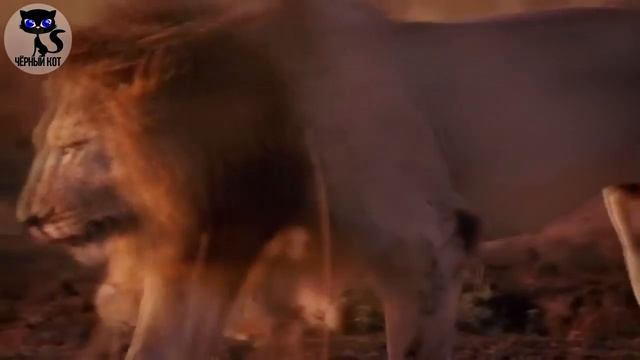 Самые опасные хищники на Земле / Интересные факты о животных смотреть онлайн