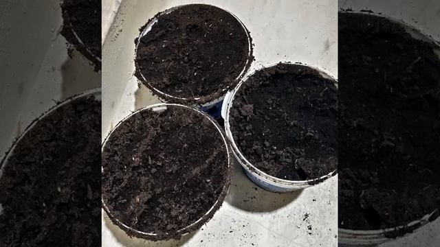 ГУМАТ КАЛИЯ СУФЛЕР / Что такое гуматы /Для чего нужен гумат калия смотреть онлайн