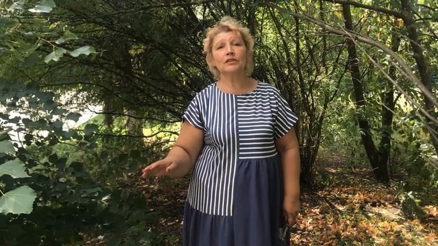 "О малой родине стихи" смотреть онлайн