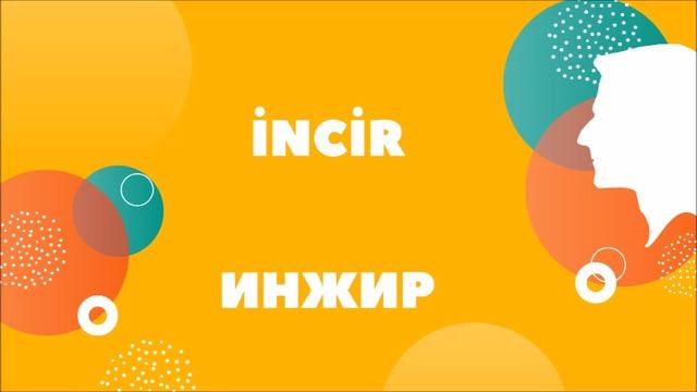 Турецкий словарь. Фрукты.Meyveler. Турецкий язык для начинающих.Rusça.