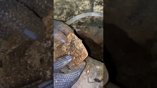 Под полом старинного дома нашли кошелек, показываю что было внутри смотреть онлайн